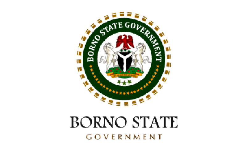Borno State Government Recruitment